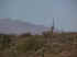 mountainsaguarosmall.JPG (19694 bytes)